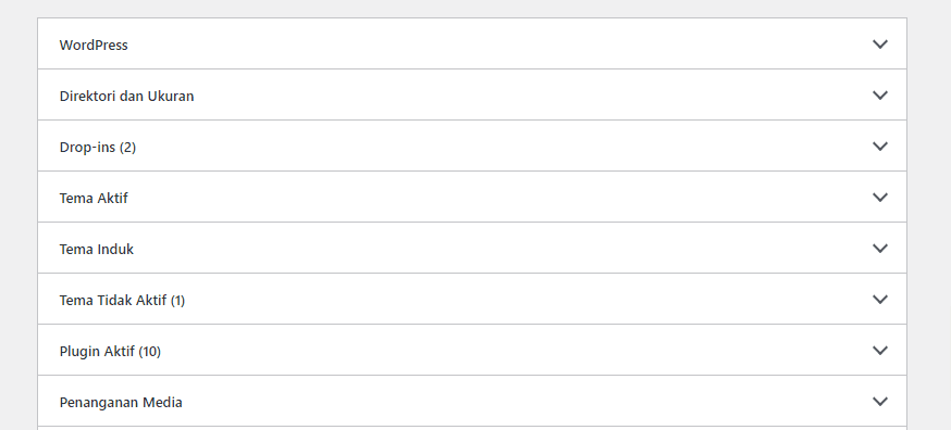 Ayo! Cek Rutin Performa Website WordPress dengan Site Health Tool 3 Ayo! Cek Rutin Performa Website WordPress dengan Site Health Tool