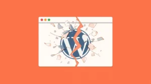 5 Jenis Error pada WordPress Paling Umum dan Cara Tepat Memperbaiki